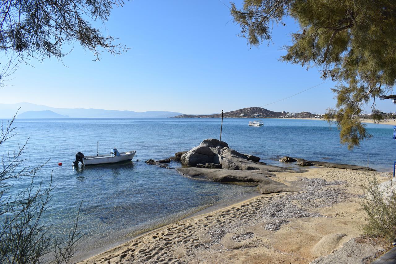 Naxian Breeze Apartment Agia Anna  Exterior photo